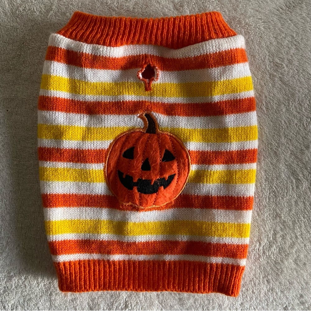 Small Dog Sweater